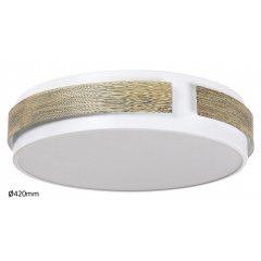 Plafon LED 24W SALMA 5646 Rabalux