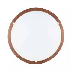 Plafon LED 13W FRIDA 4753176 Spot-Light