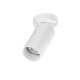 Lampa reflektor spot CORENZO LE45648 Luces Exclusivas