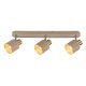 Lampa reflektor spot TISANDRA 73143 Rabalux