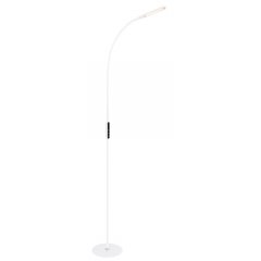 Lampa podłogowa LED 9W VARENNA 58398S Globo