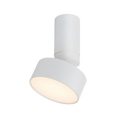 Lampa reflektor spot LED 10W OVIDIA 71326 Rabalux