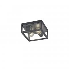 Lampa sufitowa zewnętrzna KORIEL DL242601860 Trio