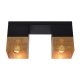 Lampa sufitowa RENATE 21123/02/02 Lucide