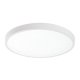 Lampa sufitowa LED 24W ALENZO 71428 Rabalux