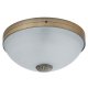 Lampa sufitowa ORCHIDEA 8558 Rabalux