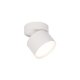 Oprawa natynkowa spot KENDAL LP-6331/1SM WH movable Light Prestige
