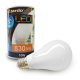 Żarówka LED 10W E27 AZ1639 Azzardo